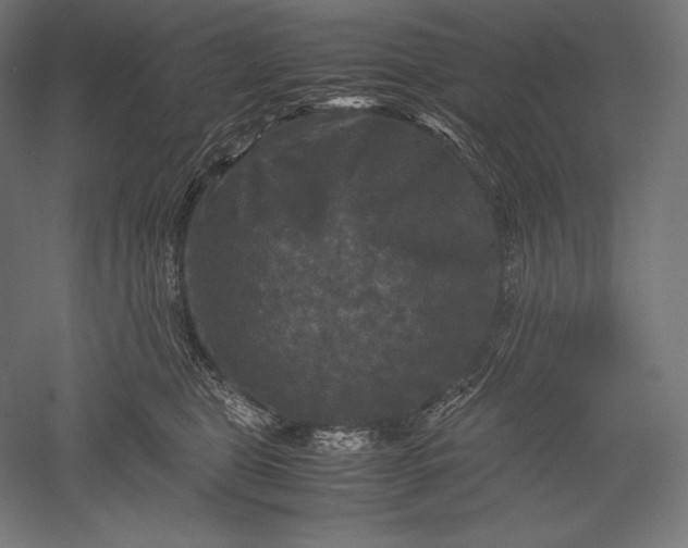 X0000051240469200507011631