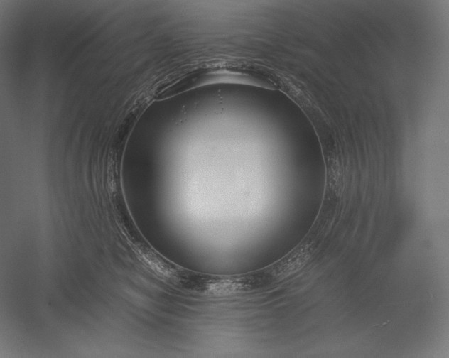 X0000051240470200507011631