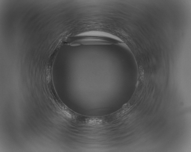 X0000051240471200507011631