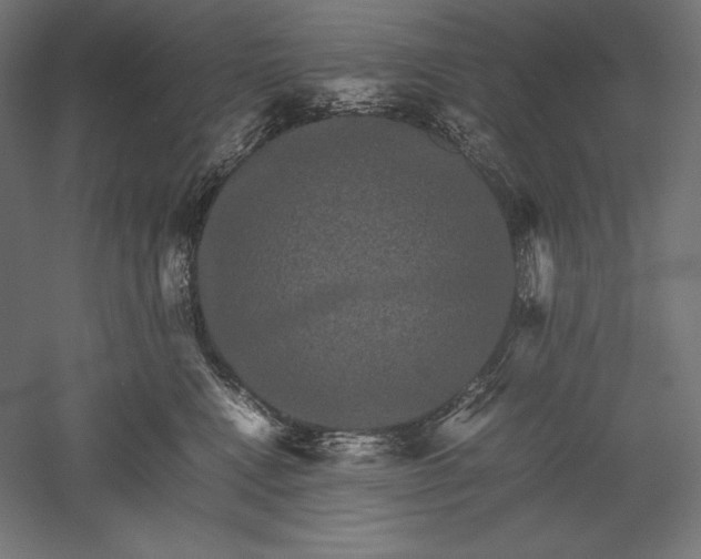 X0000051240472200507011631