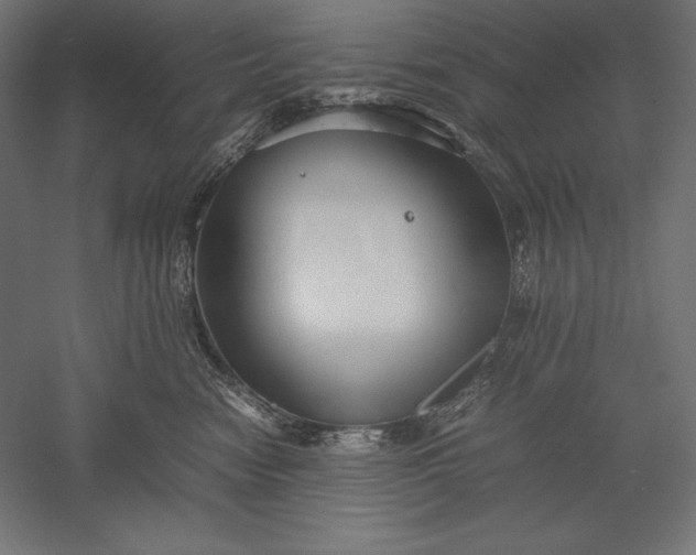 X0000051240474200507011631