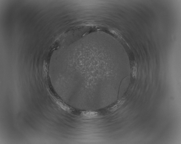 X0000051240476200507011631