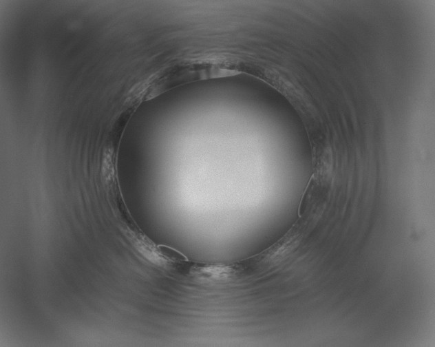 X0000051240478200507011631