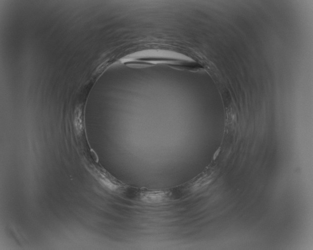 X0000051240479200507011631