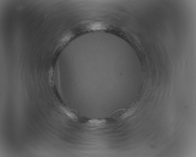 X0000051240480200507011631