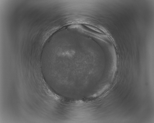 X0000051240481200507011630