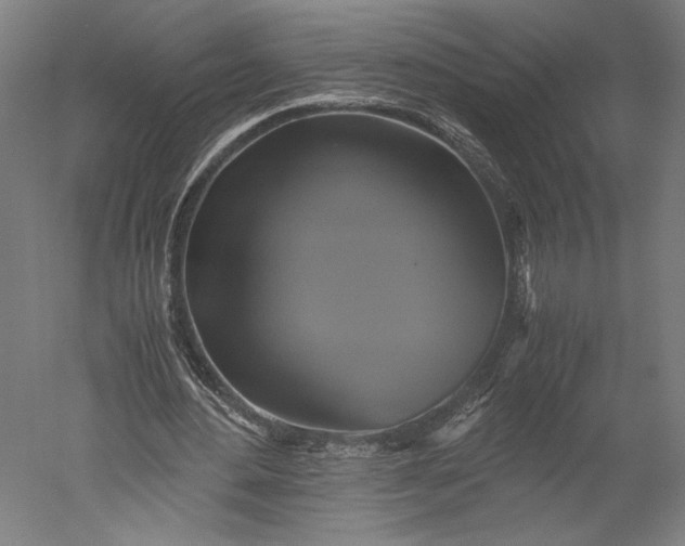 X0000051240484200507011630