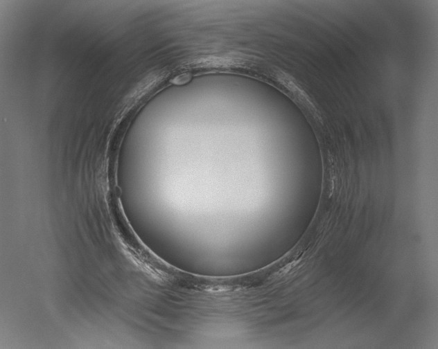 X0000051240486200507011630