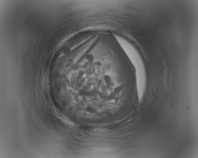 X0000051240487200507011630