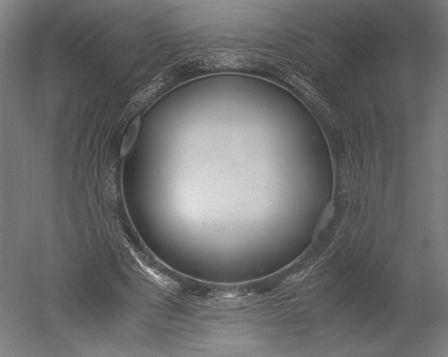 X0000051240489200507011630