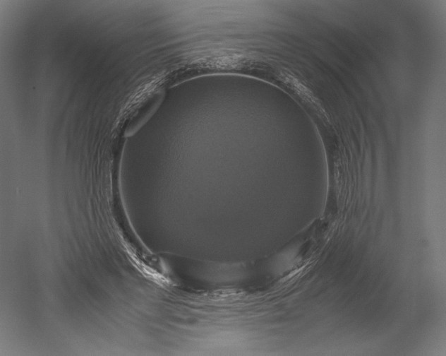 X0000051240493200507011630