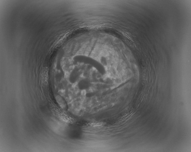 X0000051240495200507011630