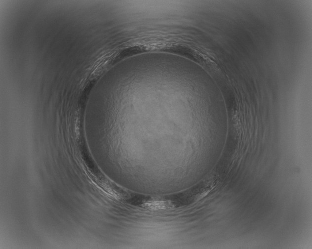 X0000051240499200507011630