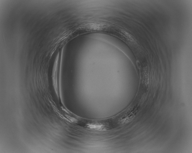 X0000051240500200507011630