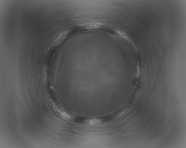 X0000051240501200507011630