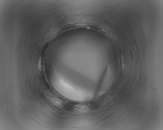 X0000051240502200507011630