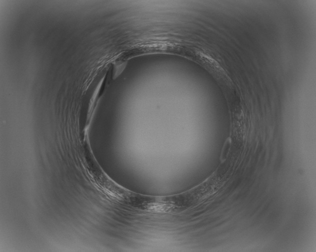 X0000051240504200507011630