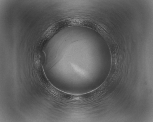 X0000051240507200507011629