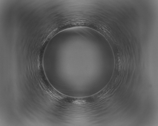 X0000051240508200507011629