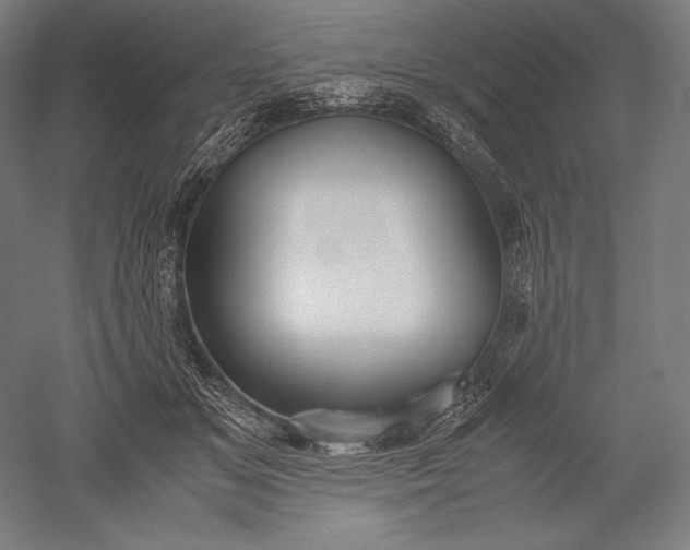 X0000051240509200507011629