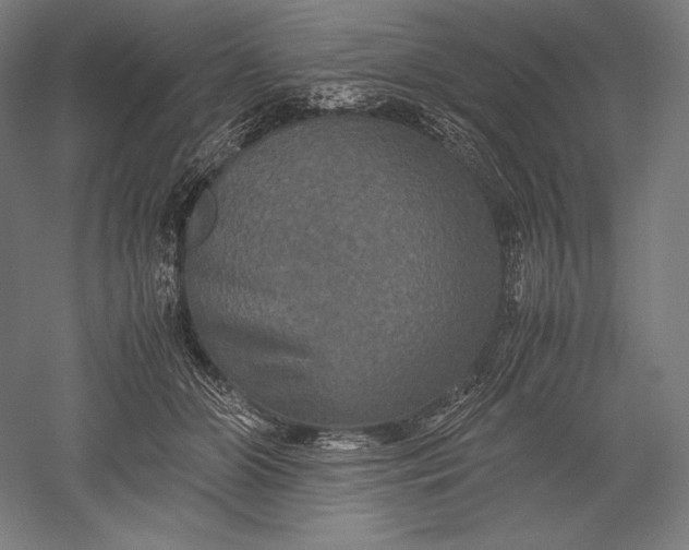 X0000051240510200507011629