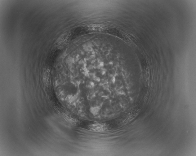 X0000051240511200507011629