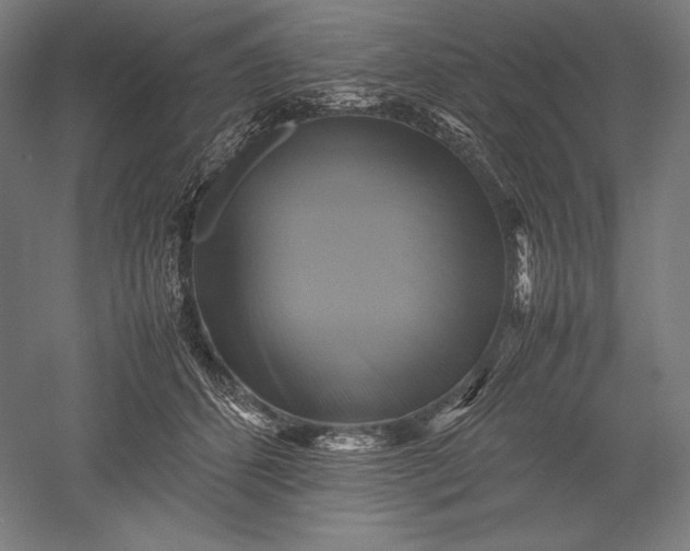 X0000051240512200507011629