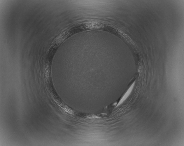 X0000051240513200507011629