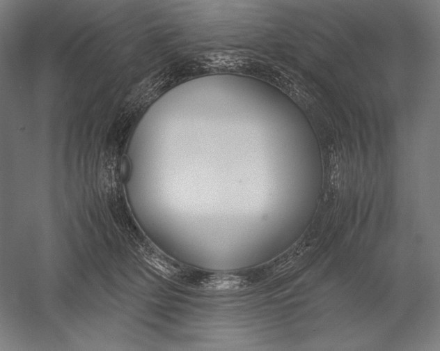 X0000051240514200507011629