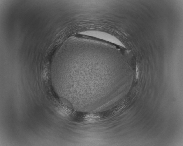 X0000051240515200507011629