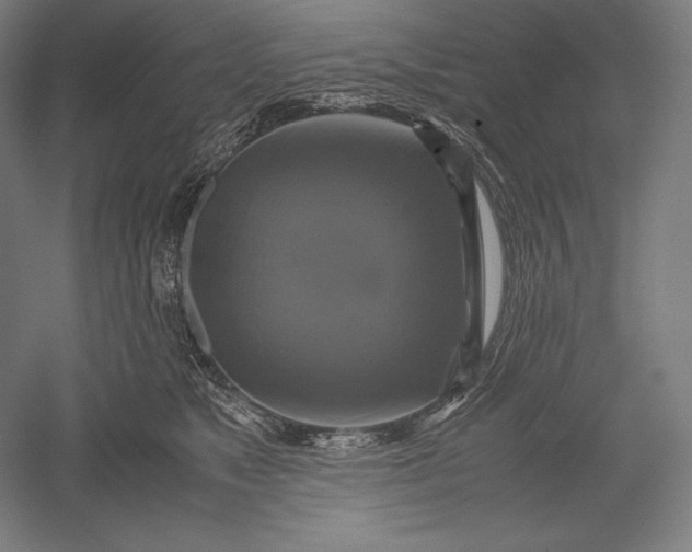 X0000051240517200507011629