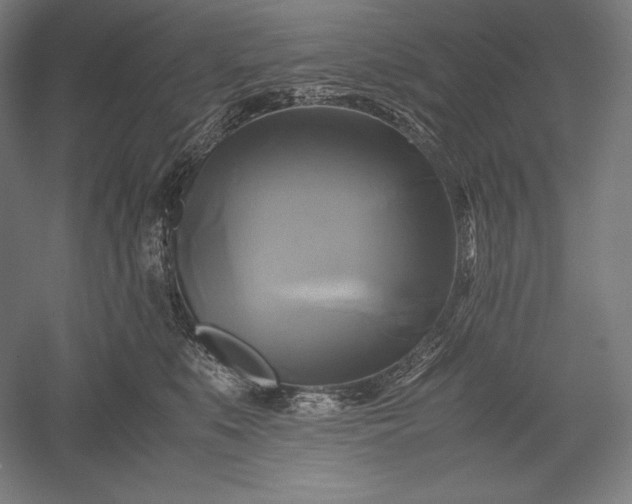 X0000051240519200507011629