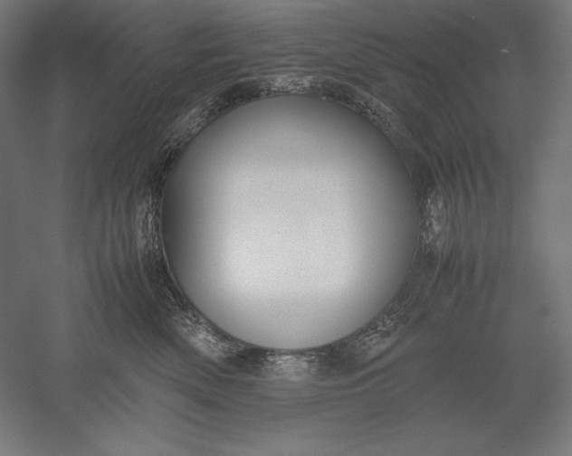 X0000051240522200507011629