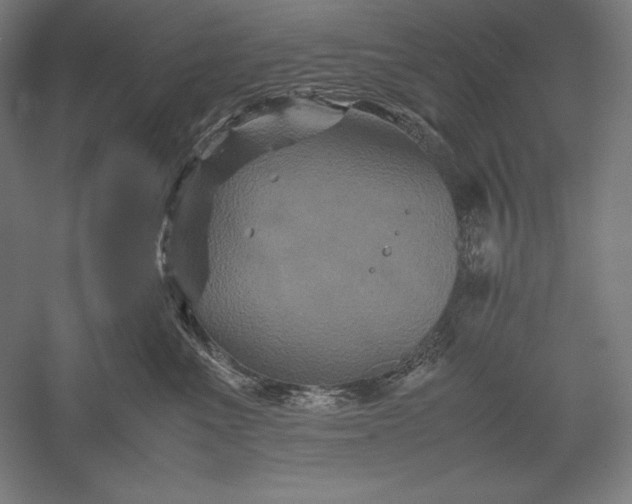 X0000051240523200507011629