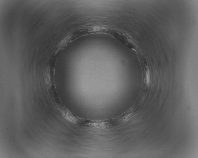 X0000051240524200507011629