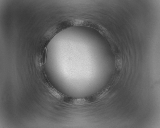 X0000051240525200507011629