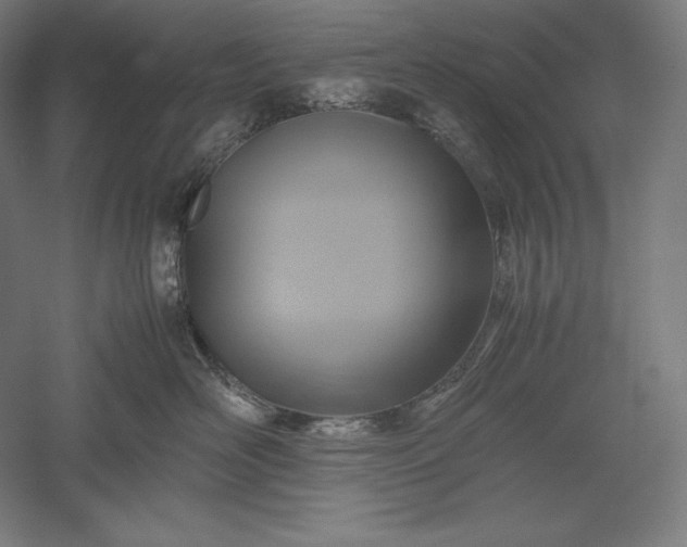 X0000051240526200507011629