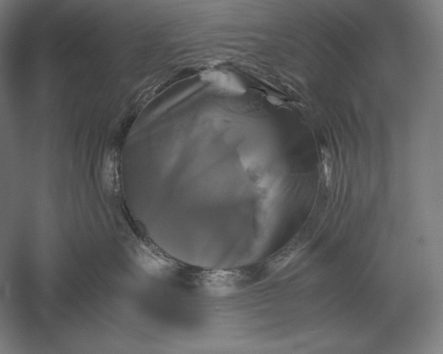 X0000051240527200507011629