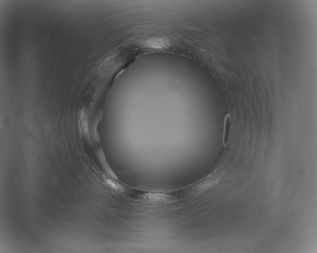 X0000051240528200507011629