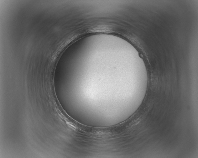 X0000051240529200507011628