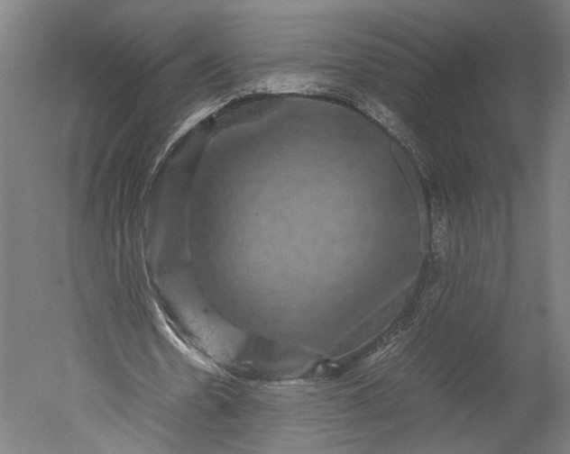 X0000051240530200507011628