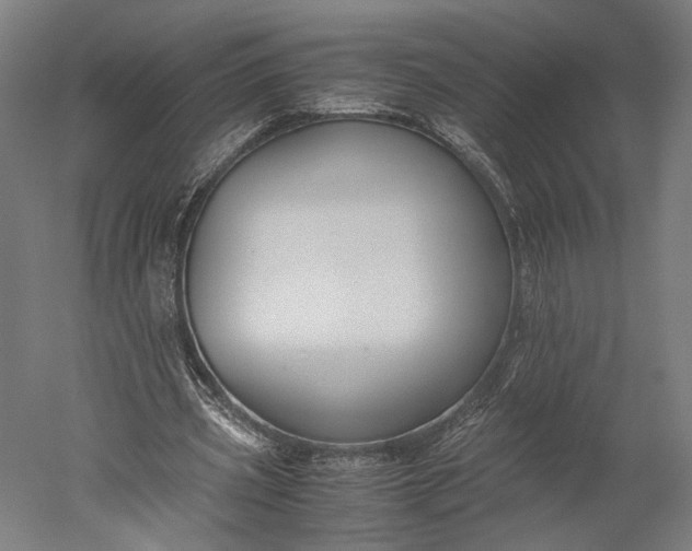 X0000051240533200507011628