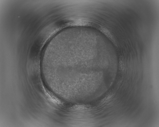 X0000051240534200507011628