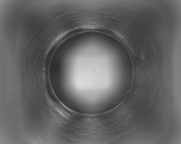 X0000051240535200507011628