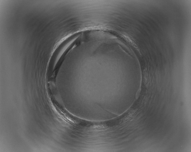 X0000051240536200507011628