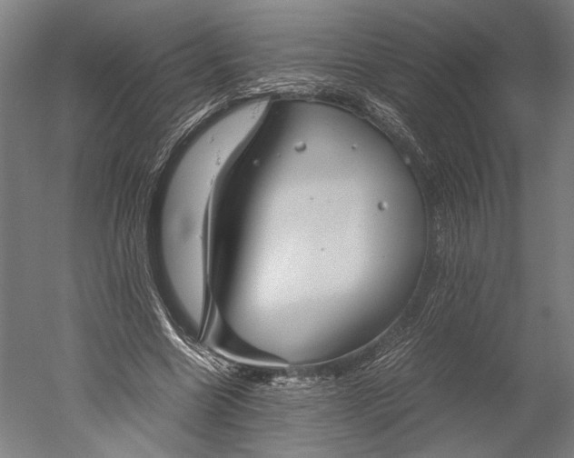 X0000051240538200507011628