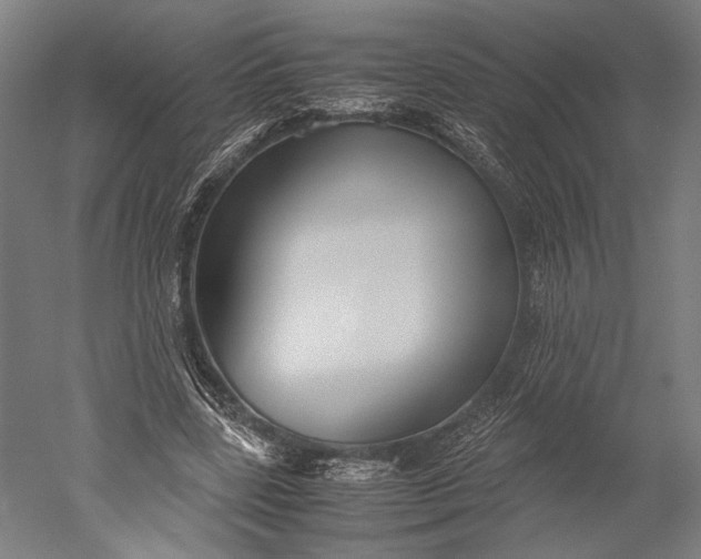 X0000051240539200507011628