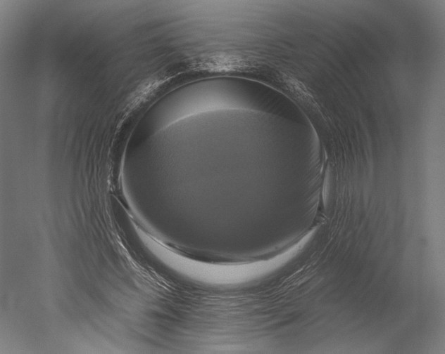 X0000051240540200507011629