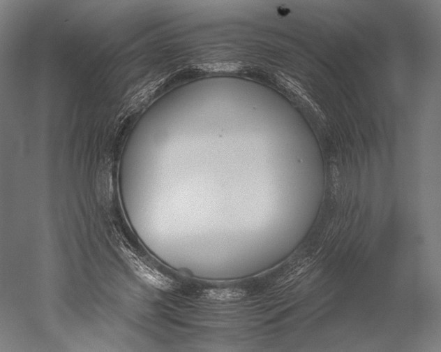 X0000051240541200507011629