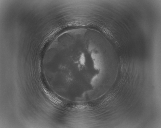 X0000051240542200507011629